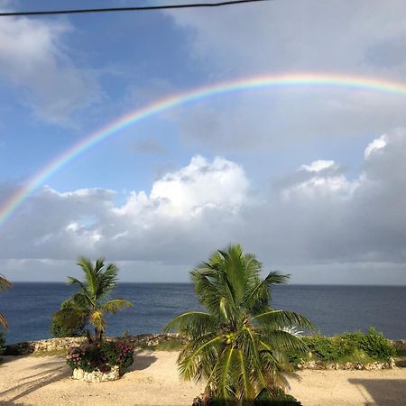 Marazul Dive Resort. 3 Bedroom Seafront House. Dive, Snorkel, Enjoy Amazing Sunsets Westpunt 外观 照片