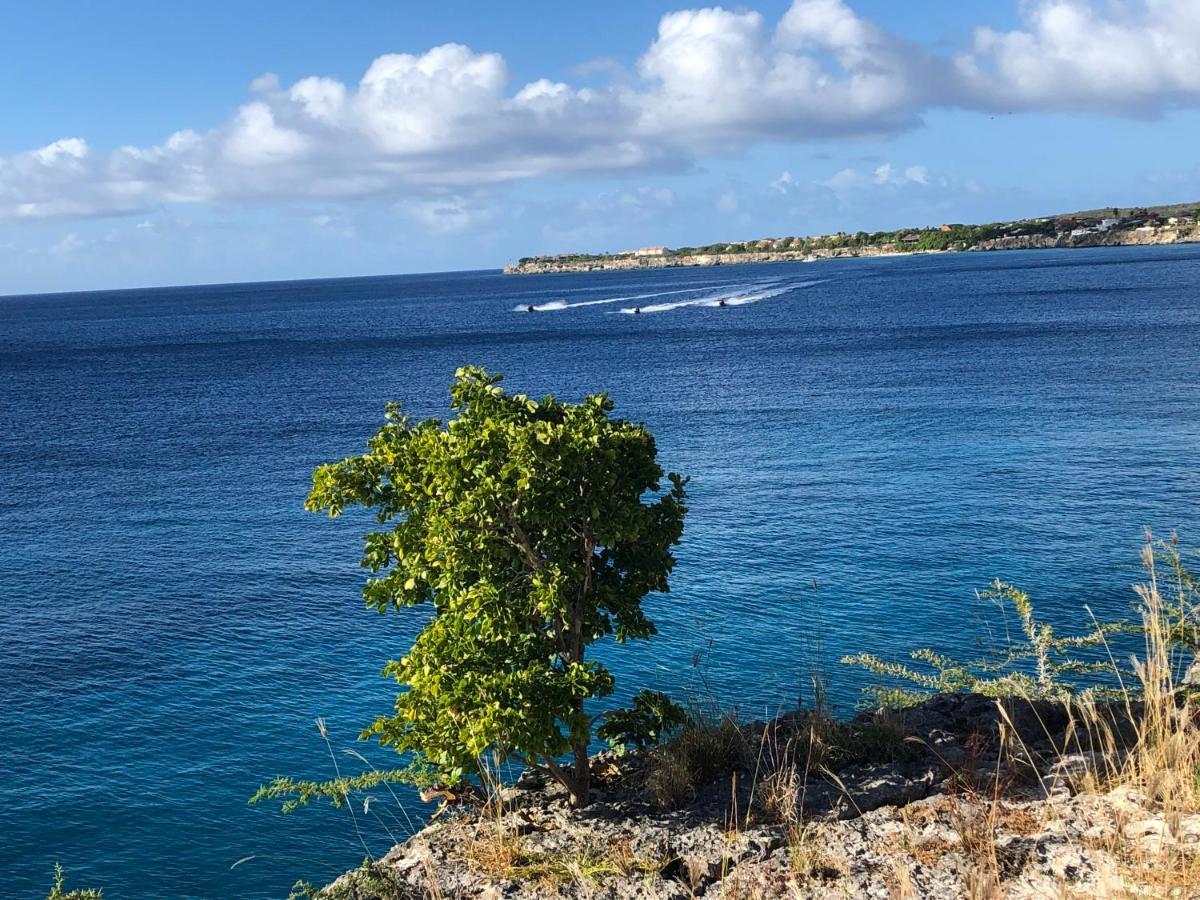 Marazul Dive Resort. 3 Bedroom Seafront House. Dive, Snorkel, Enjoy Amazing Sunsets Westpunt 外观 照片
