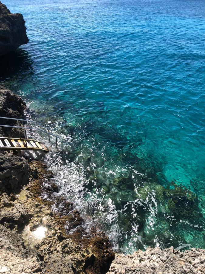 Marazul Dive Resort. 3 Bedroom Seafront House. Dive, Snorkel, Enjoy Amazing Sunsets Westpunt 外观 照片