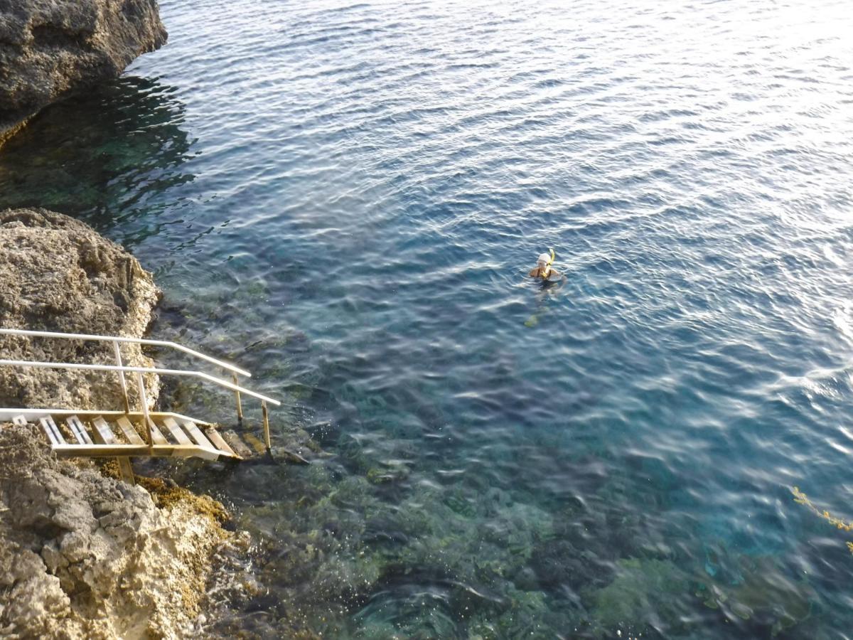 Marazul Dive Resort. 3 Bedroom Seafront House. Dive, Snorkel, Enjoy Amazing Sunsets Westpunt 外观 照片